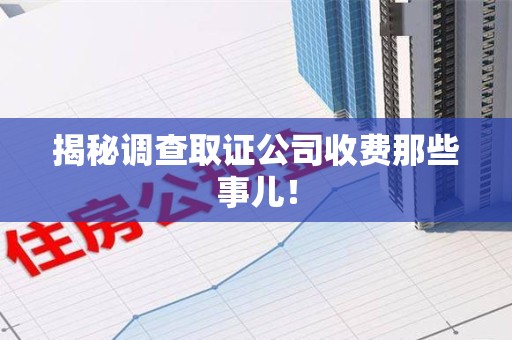 云霄揭秘调查取证公司收费那些事儿！