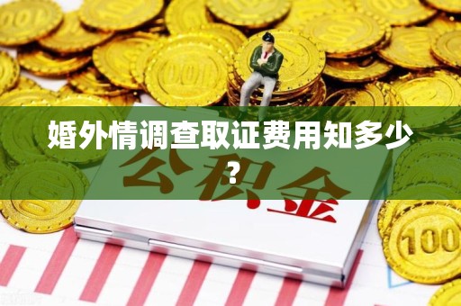 云霄婚外情调查取证费用知多少？