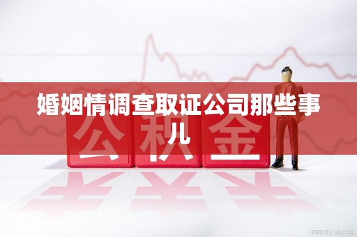 云霄婚姻情调查取证公司那些事儿