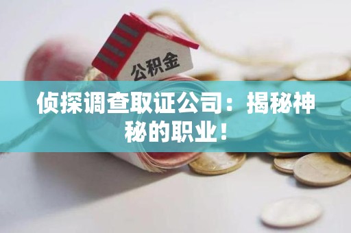 云霄侦探调查取证公司：揭秘神秘的职业！