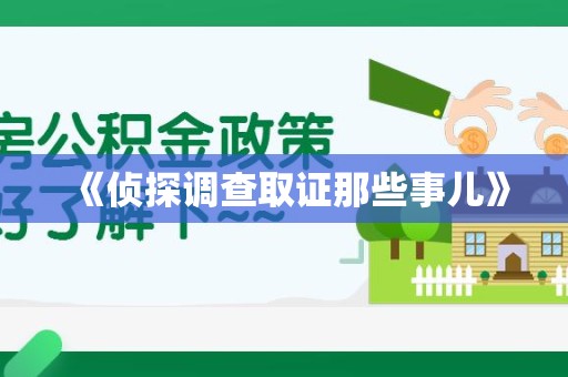 云霄《侦探调查取证那些事儿》