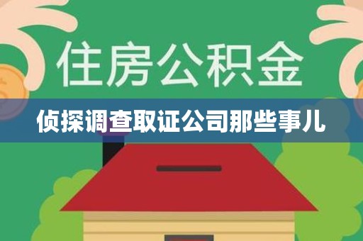 云霄侦探调查取证公司那些事儿