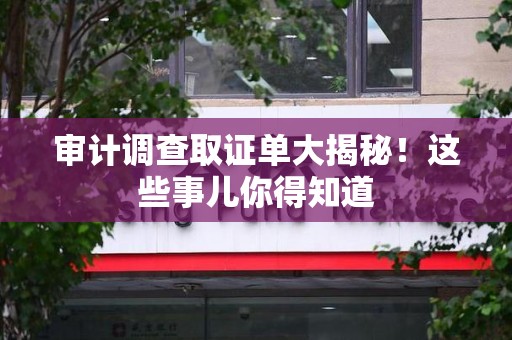 云霄审计调查取证单大揭秘！这些事儿你得知道