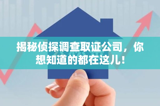 云霄揭秘侦探调查取证公司，你想知道的都在这儿！