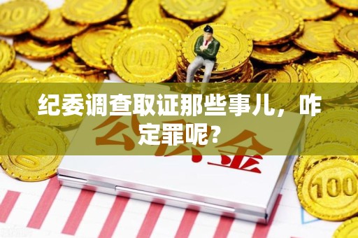 云霄纪委调查取证那些事儿，咋定罪呢？