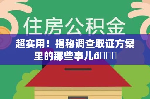 云霄超实用！揭秘调查取证方案里的那些事儿😎