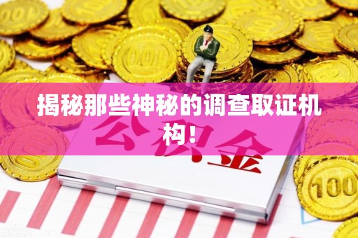 云霄揭秘那些神秘的调查取证机构！