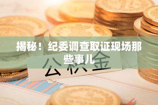 云霄揭秘！纪委调查取证现场那些事儿