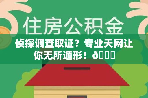 云霄侦探调查取证？专业天网让你无所遁形！😎