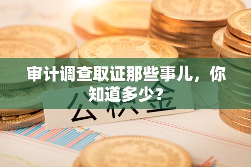 云霄审计调查取证那些事儿，你知道多少？