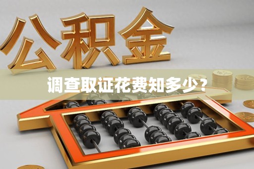 云霄调查取证花费知多少？