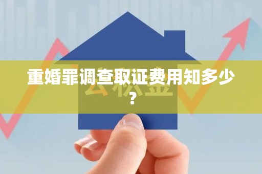 云霄重婚罪调查取证费用知多少？