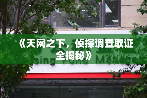 云霄《天网之下，侦探调查取证全揭秘》