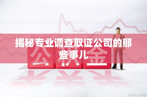 云霄揭秘专业调查取证公司的那些事儿
