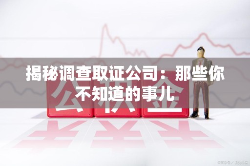 云霄揭秘调查取证公司：那些你不知道的事儿