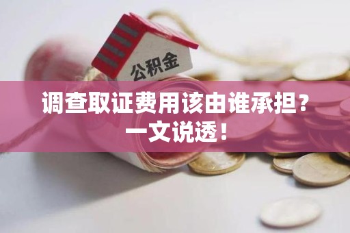 云霄调查取证费用该由谁承担？一文说透！