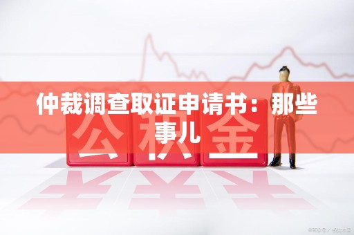 云霄仲裁调查取证申请书：那些事儿