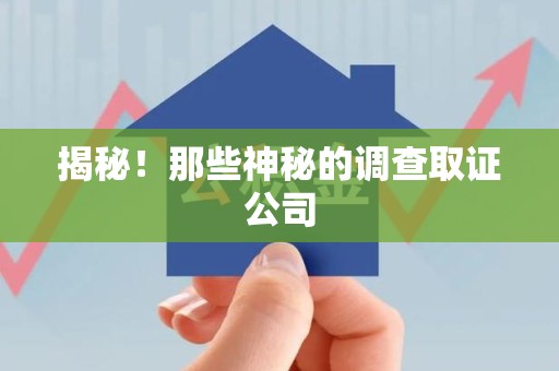 云霄揭秘！那些神秘的调查取证公司