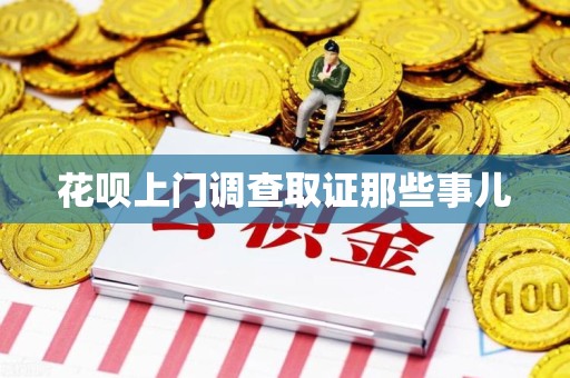 云霄花呗上门调查取证那些事儿