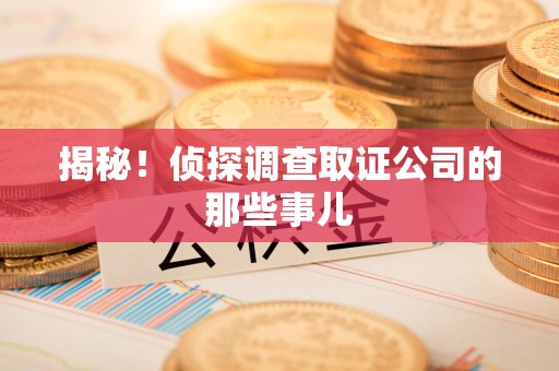 云霄揭秘！侦探调查取证公司的那些事儿