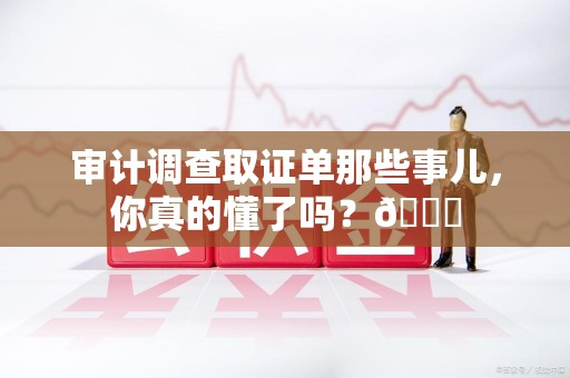 云霄审计调查取证单那些事儿，你真的懂了吗？😎