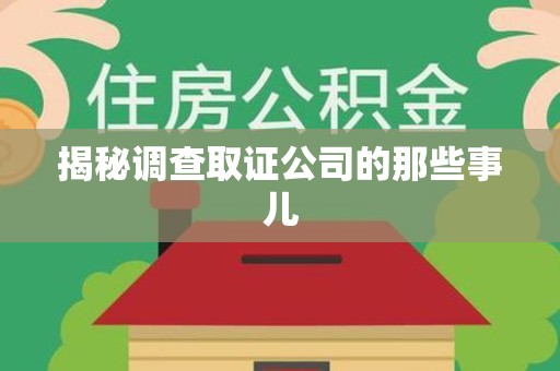 云霄揭秘调查取证公司的那些事儿