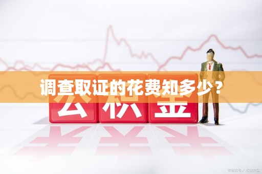 云霄调查取证的花费知多少？