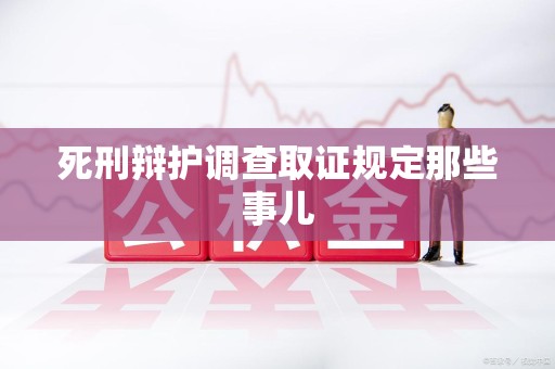 云霄死刑辩护调查取证规定那些事儿