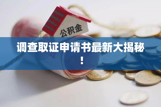 云霄调查取证申请书最新大揭秘！
